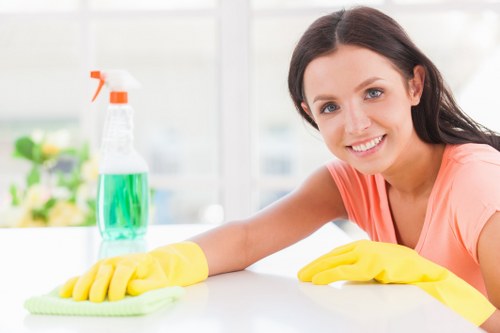 Professional carpet cleaning in a Creekmouth home