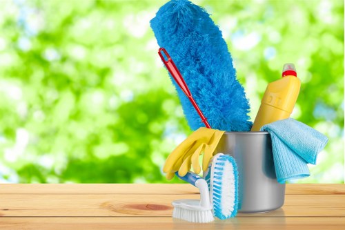 Professional pet stain odour removal in Creekmouth on carpet