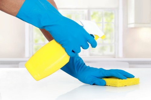Carpet cleaning technician using professional equipment in a protected environment
