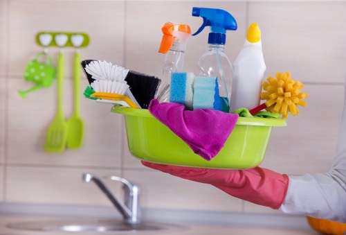 Professional carpet cleaning service introduction with booking terms