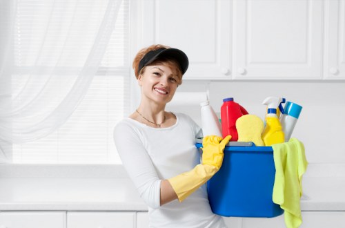 Steam carpet cleaning equipment in a Creekmouth home