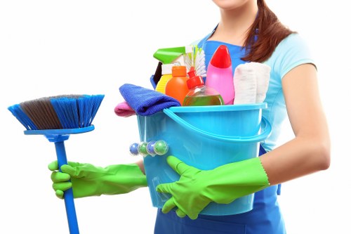 Pet stain odour treatment in Creekmouth for upholstery