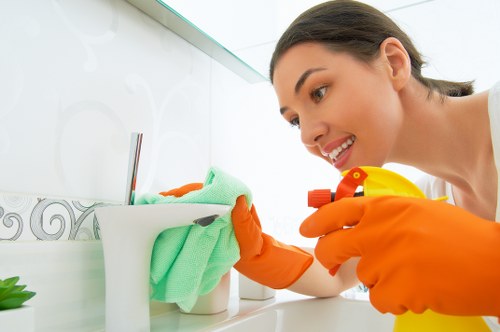 Carpet and rug stain cleaning services in Creekmouth