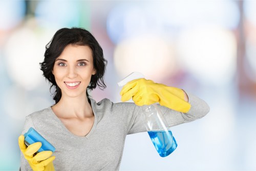 Clean carpet fibers after steam cleaning in Creekmouth