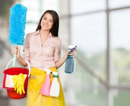 Carpet and fabric cleaning for pet odour removal in Creekmouth