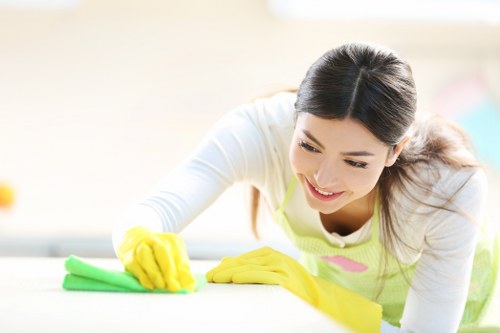 Creekmouth Carpet Cleaners team working safely with insured cleaning equipment