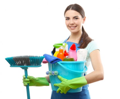 Deep cleaning process for pet odour removal in Creekmouth
