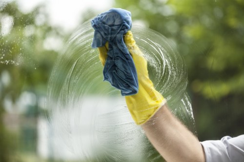 Mattress and upholstery stain removal in Creekmouth