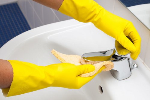 Detailed carpet cleaning process used by Creekmouth Carpet Cleaners